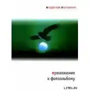 Постер книги Приложение к фотоальбому (сборник)