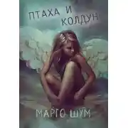 Постер книги Птаха и колдун