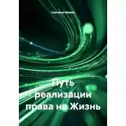 Постер книги Путь реализации права на Жизнь