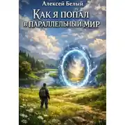 Постер книги Как я попал в параллельный мир
