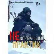 Постер книги Ненормальный практик 7
