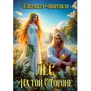 Постер книги Лес на той стороне