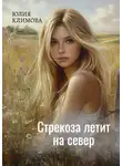 Юлия Климова - Стрекоза летит на север. Часть 1
