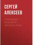 Сергей Алексеев - Сокровища Валькирии. Звездные раны