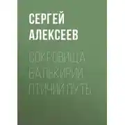 Постер книги Сокровища Валькирии. Птичий путь