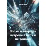 Постер книги Волки и медведи встречи в лесу и не только