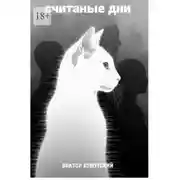 Постер книги Считаные дни