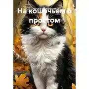 Постер книги На кошачьем о простом