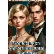 Постер книги Второй шанс для сгоревшего феникса