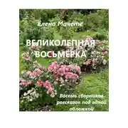 Постер книги Великолепная восьмерка