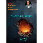 Постер книги Теплая стена