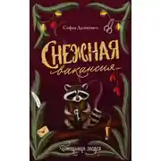 Постер книги Снежная вакансия