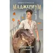 Постер книги Маджериум. Инициация тьмой