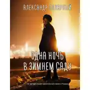 Постер книги Одна ночь в зимнем саду