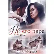 Постер книги Не его пара