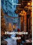 Роман Маркин - Новогоднее чудо