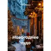 Постер книги Новогоднее чудо