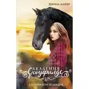 Постер книги Заклинатели лошадей