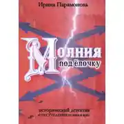 Постер книги Молния под ёлочку