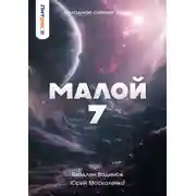 Постер книги Малой 7