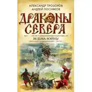 Постер книги Ведьма войны