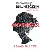 Постер книги Акын online. Любимая, я знаю, ты в сети