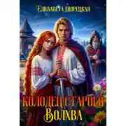 Постер книги Колодец старого волхва