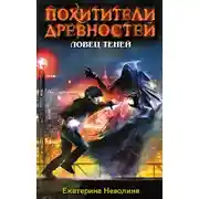 Постер книги Ловец теней