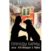 Постер книги Причуды Кармы, или кто нагадил в тапки