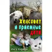Постер книги Женсовет и приемные дети