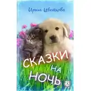 Постер книги Сказки на ночь