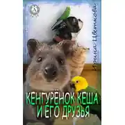 Постер книги Кенгурёнок Кеша и его друзья