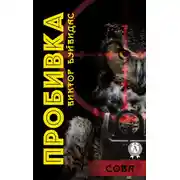 Постер книги Пробивка