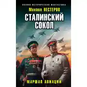 Постер книги Сталинский сокол. Маршал авиации