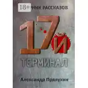 Постер книги Семнадцатый терминал