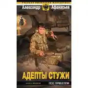 Постер книги Адепты стужи-2. Под прицелом