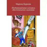 Постер книги Необыкновенные истории обыкновенного мальчика