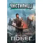Постер книги Чистилище. Побег