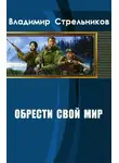 Владимир Стрельников - Обрести свой мир