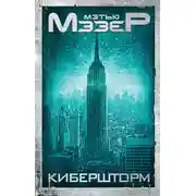 Постер книги Кибершторм