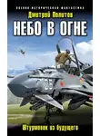 Дмитрий Политов - Небо в огне. Штурмовик из будущего