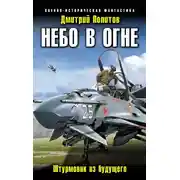 Постер книги Небо в огне. Штурмовик из будущего