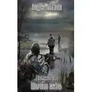 Постер книги Обычная жизнь