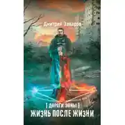 Постер книги Дороги Зоны. Жизнь после жизни