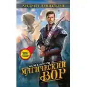 Постер книги Магический Вор
