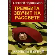 Постер книги Трембита звучит на рассвете