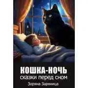 Постер книги Кошка-ночь
