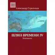 Постер книги Шлюз времени IV. Выжившая
