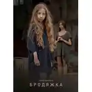 Постер книги Бродяжка