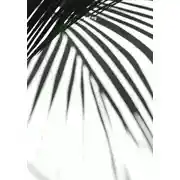 Постер книги ak_3